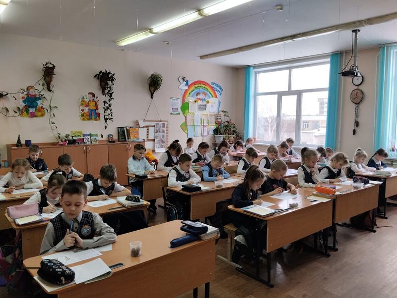 Все школьники России выполняли работу — мониторинг «Политоринг».