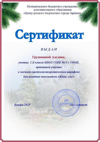 Uородскиt конкурсs «Живи, ель» и «Рождественская звезда».